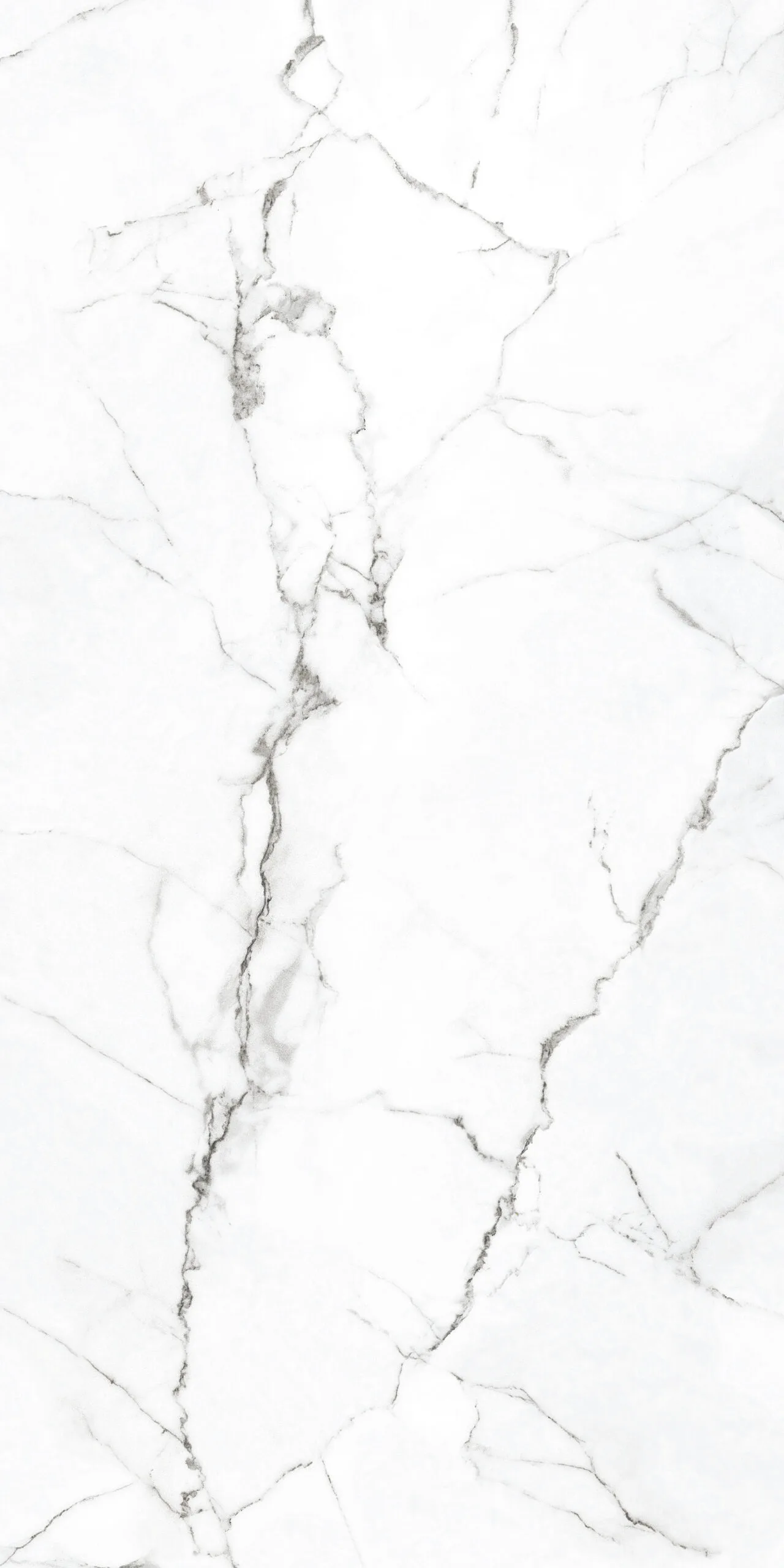 White Himalaya
